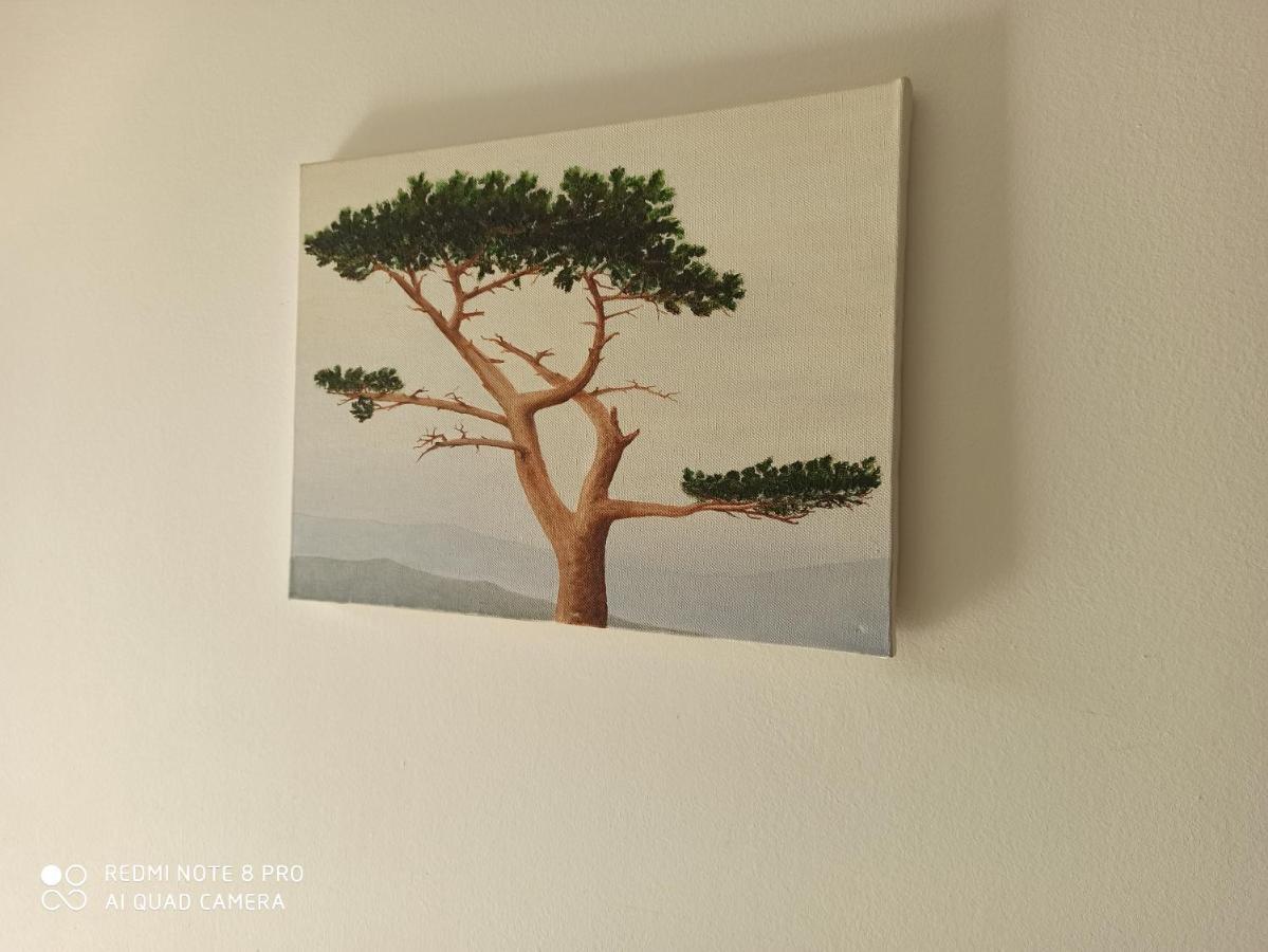 Apartmani Mislav Slatine Luaran gambar