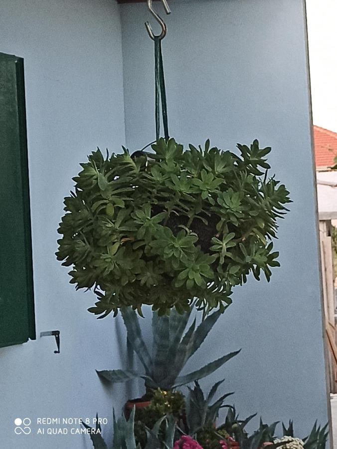 Apartmani Mislav Slatine Luaran gambar